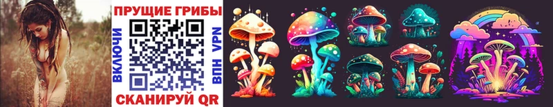 Псилоцибиновые грибы MAGIC MUSHROOMS  mega зеркало  Навашино 